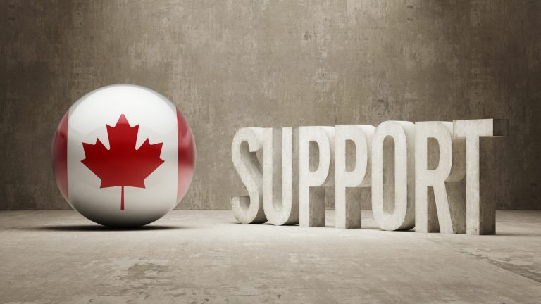 How to Leverage Canada's Supportive Business Environment