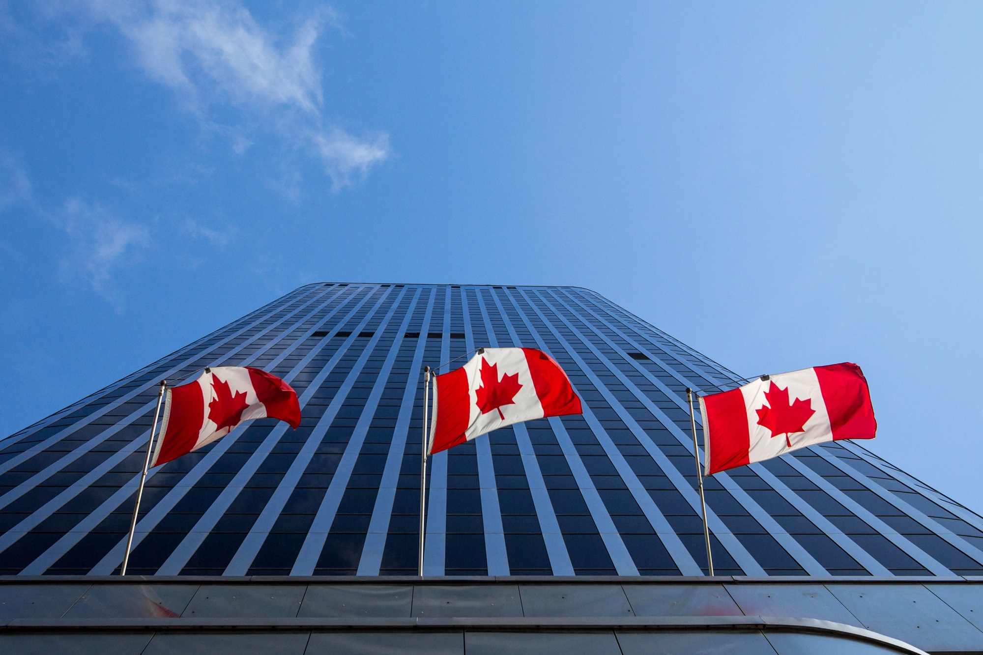 Unlocking Opportunities: How to Start Your Business Journey in Canada